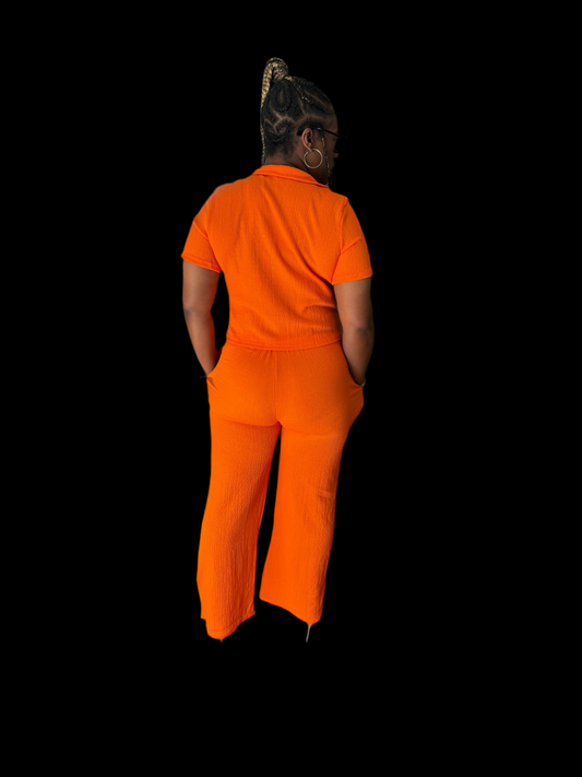 Casual Pleated V-Neck Short Sleeve Loose 2 piece pant set